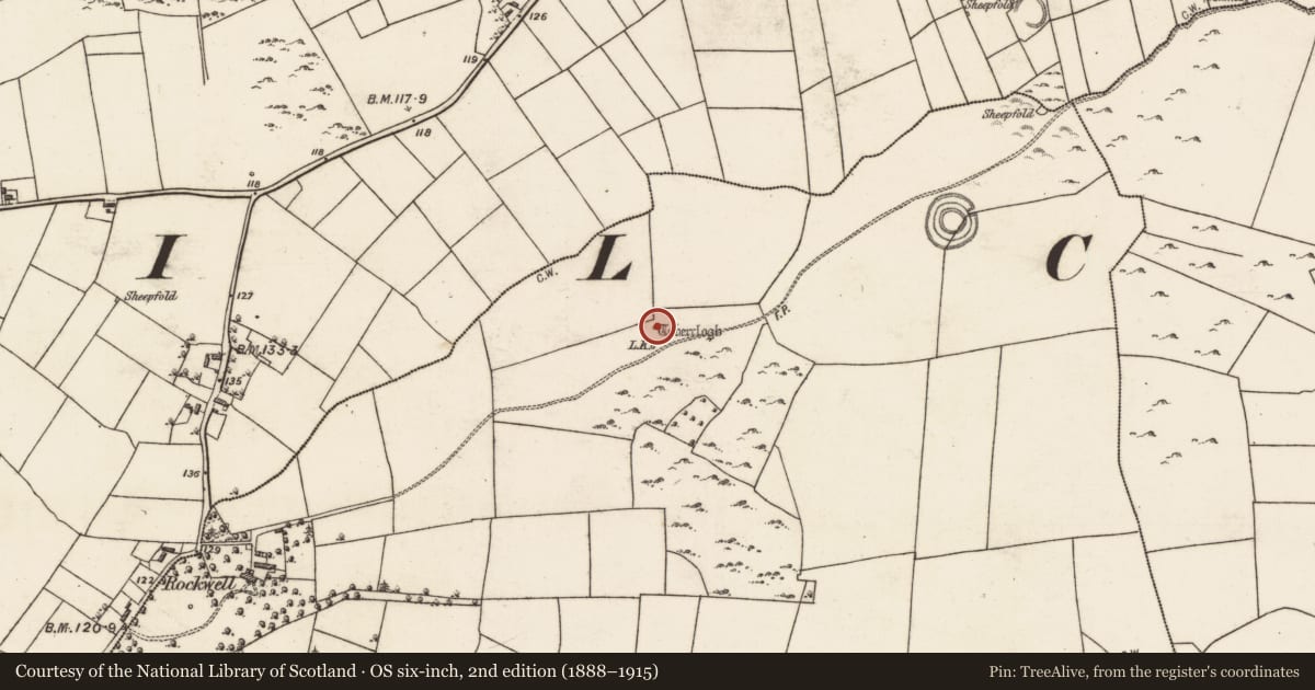 Ordnance Survey six-inch map, 2nd edition (1888–1915) covering the location of Ritual site - holy well, Toberroe, County Galway, with a pin at the register's coordinates