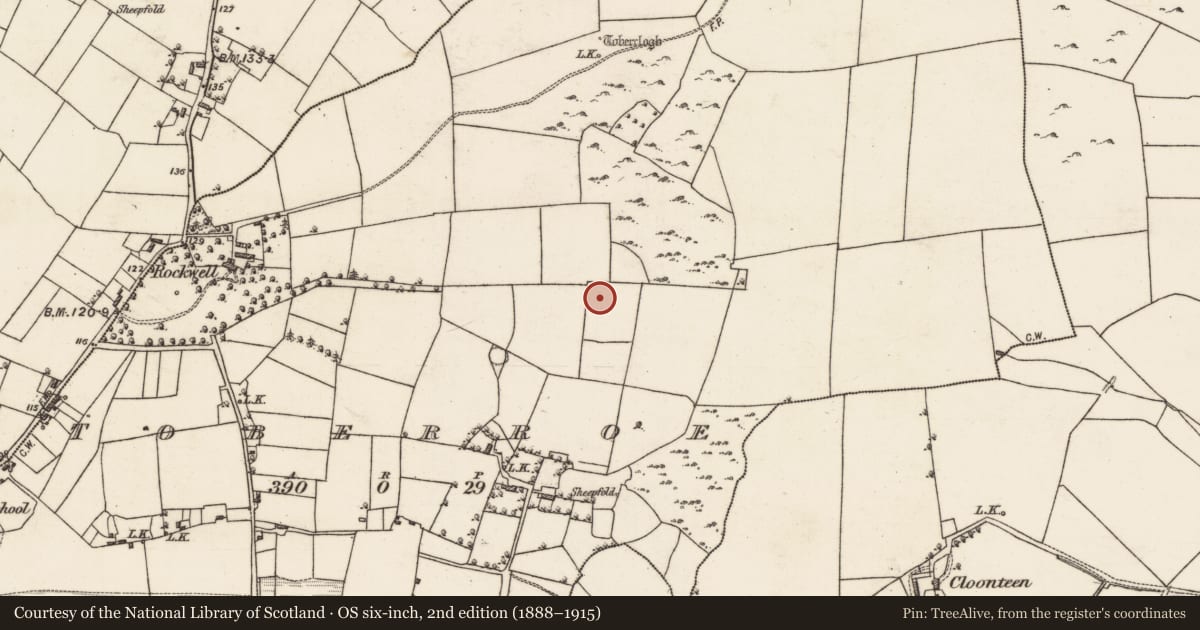Ordnance Survey six-inch map, 2nd edition (1888–1915) covering the location of Enclosure, Toberroe, County Galway, with a pin at the register's coordinates