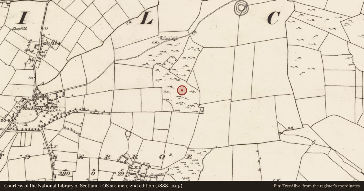 Ordnance Survey six-inch map, 2nd edition (1888–1915) covering the location of Enclosure, Toberroe, County Galway, with a pin at the register's coordinates