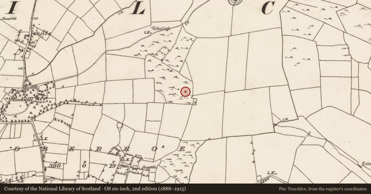 Ordnance Survey six-inch map, 2nd edition (1888–1915) covering the location of Ringfort - cashel, Toberroe, County Galway, with a pin at the register's coordinates