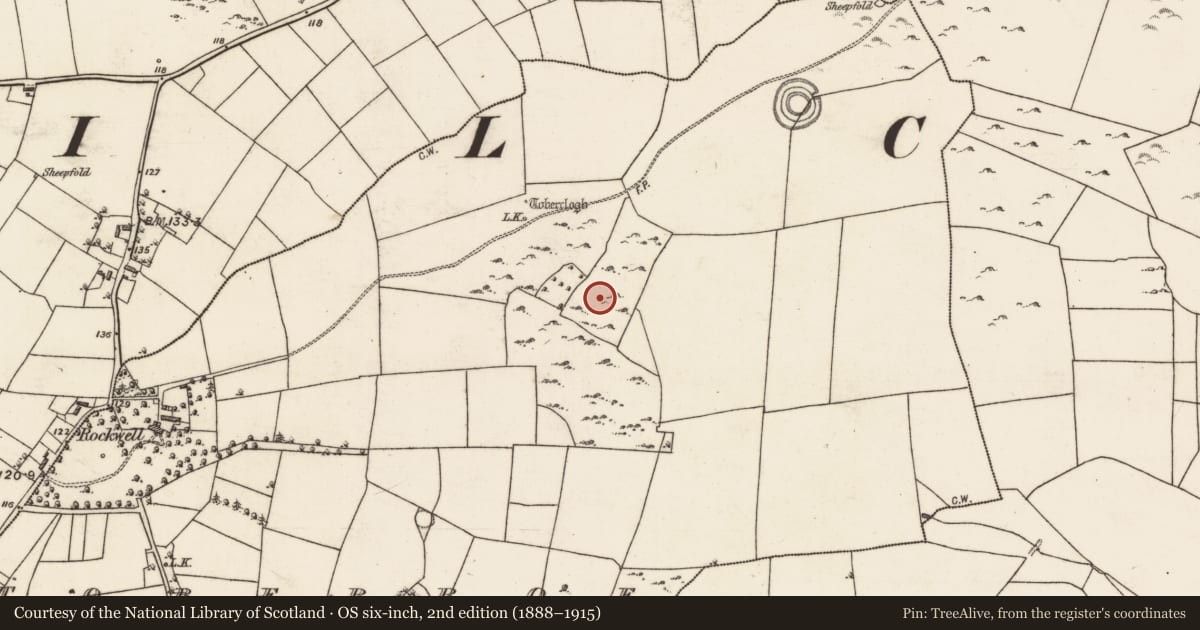 Ordnance Survey six-inch map, 2nd edition (1888–1915) covering the location of House - indeterminate date, Toberroe, County Galway, with a pin at the register's coordinates