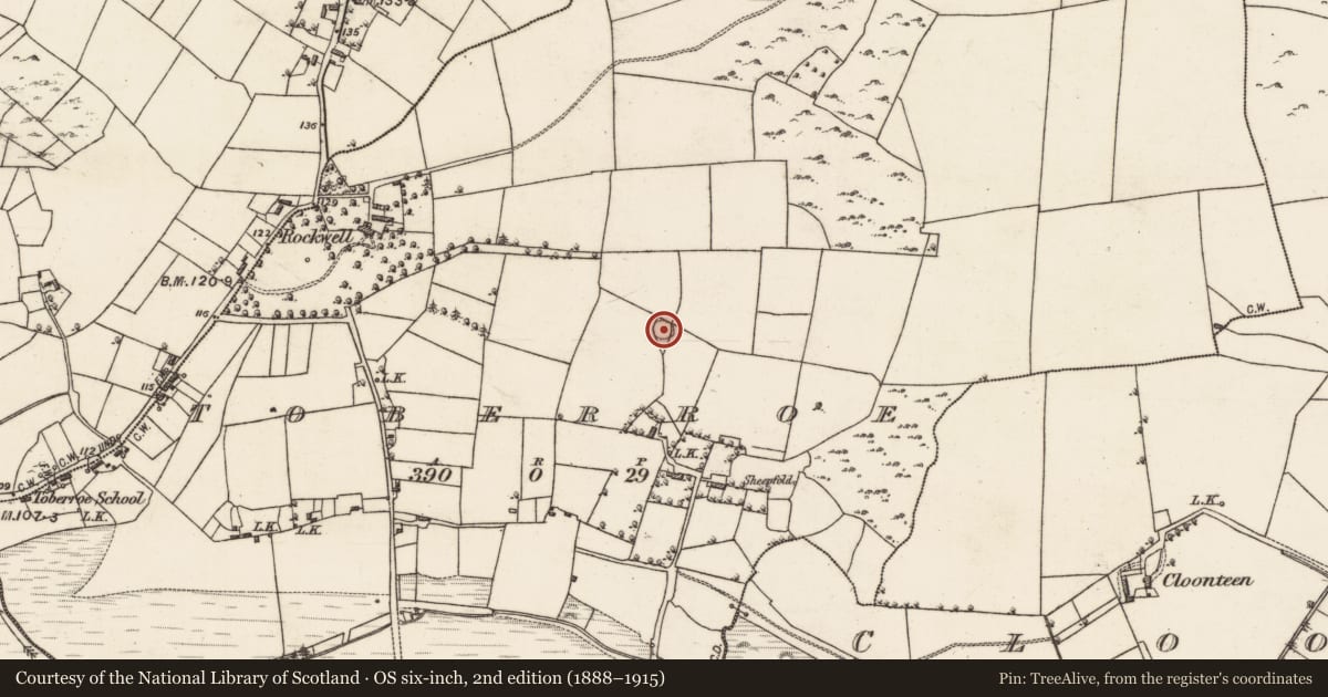Ordnance Survey six-inch map, 2nd edition (1888–1915) covering the location of Ringfort - cashel, Toberroe, County Galway, with a pin at the register's coordinates