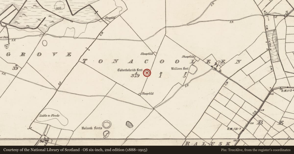 Ordnance Survey six-inch map, 2nd edition (1888–1915) covering the location of Ringfort - cashel, Tonacooleen, County Galway, with a pin at the register's coordinates