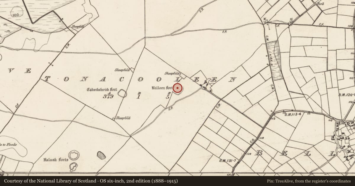 Ordnance Survey six-inch map, 2nd edition (1888–1915) covering the location of Ringfort - cashel, Tonacooleen, County Galway, with a pin at the register's coordinates