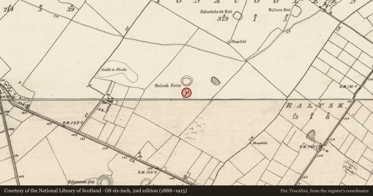 Ordnance Survey six-inch map, 2nd edition (1888–1915) covering the location of Ringfort - rath, Tonacooleen, County Galway, with a pin at the register's coordinates