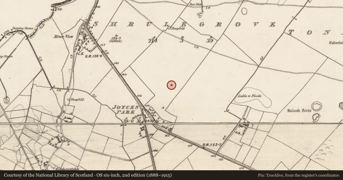 Ordnance Survey six-inch map, 2nd edition (1888–1915) covering the location of Road - road/trackway, Shrulegrove, County Galway, with a pin at the register's coordinates