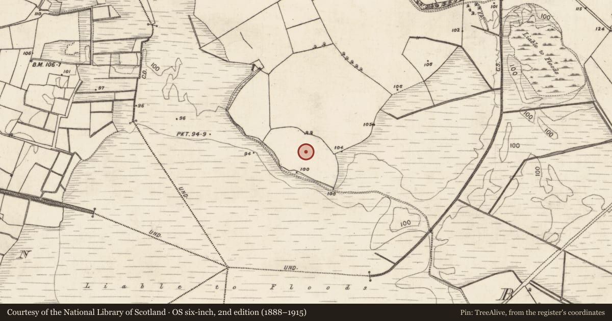 Ordnance Survey six-inch map, 2nd edition (1888–1915) covering the location of Enclosure, Shancloon, County Galway, with a pin at the register's coordinates