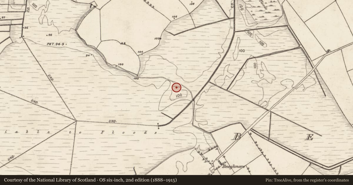 Ordnance Survey six-inch map, 2nd edition (1888–1915) covering the location of Mill - unclassified, Shancloon, County Galway, with a pin at the register's coordinates