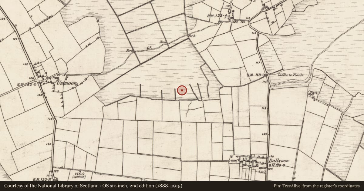 Ordnance Survey six-inch map, 2nd edition (1888–1915) covering the location of Enclosure, Beagh More, County Galway, with a pin at the register's coordinates