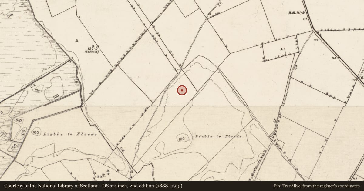 Ordnance Survey six-inch map, 2nd edition (1888–1915) covering the location of Enclosure, Beagh More, County Galway, with a pin at the register's coordinates