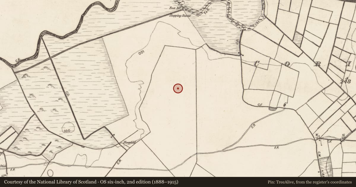 Ordnance Survey six-inch map, 2nd edition (1888–1915) covering the location of Enclosure, Tonacooleen, County Galway, with a pin at the register's coordinates