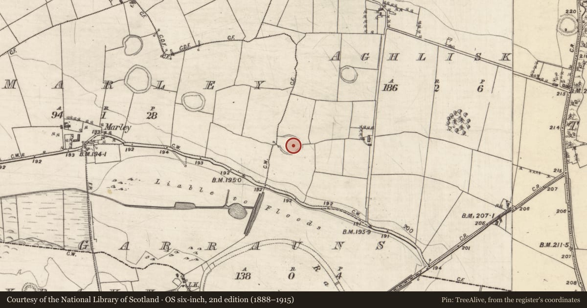 Ordnance Survey six-inch map, 2nd edition (1888–1915) covering the location of Ringfort - rath, Aghlisk, County Galway, with a pin at the register's coordinates