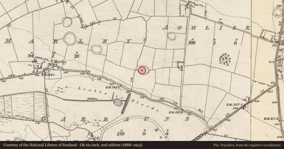 Ordnance Survey six-inch map, 2nd edition (1888–1915) covering the location of Souterrain, Aghlisk, County Galway, with a pin at the register's coordinates