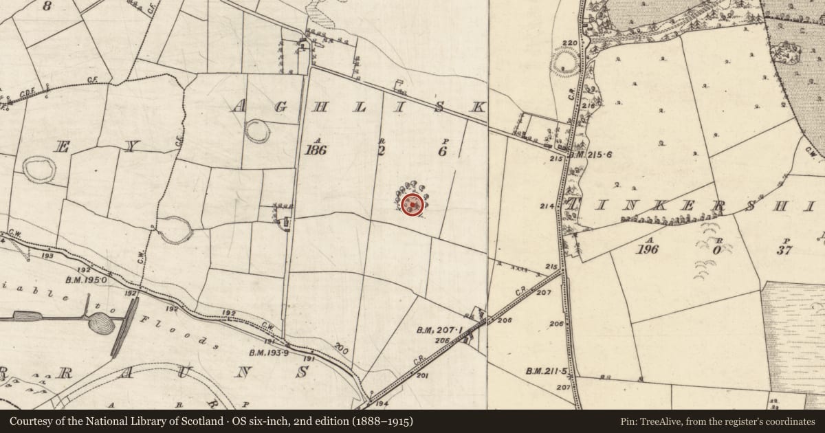 Ordnance Survey six-inch map, 2nd edition (1888–1915) covering the location of Ringfort - rath, Aghlisk, County Galway, with a pin at the register's coordinates