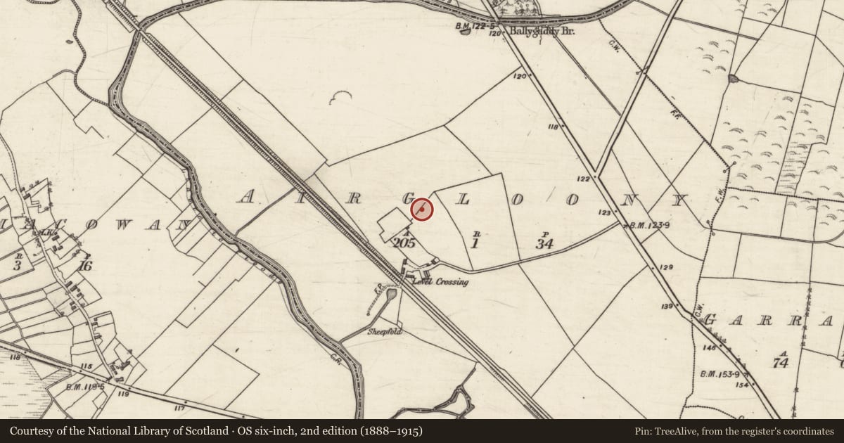 Ordnance Survey six-inch map, 2nd edition (1888–1915) covering the location of Ringfort - rath, Airgloony, County Galway, with a pin at the register's coordinates