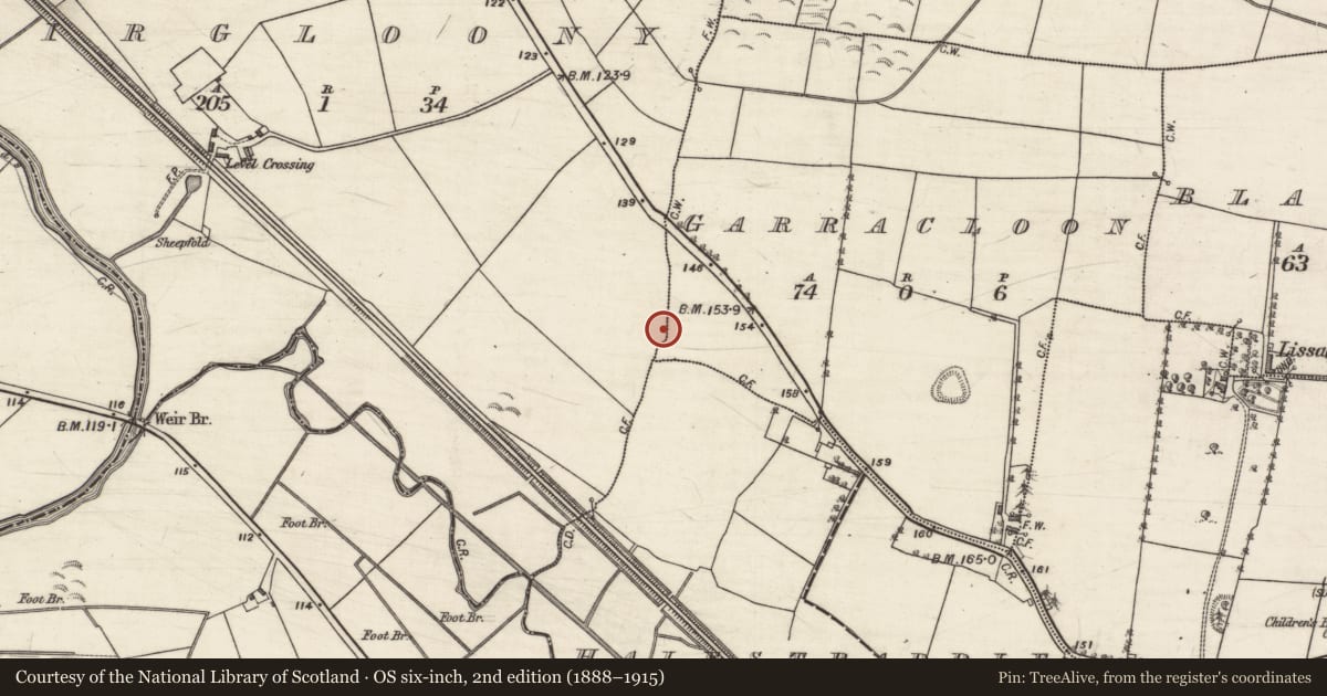 Ordnance Survey six-inch map, 2nd edition (1888–1915) covering the location of Ringfort - rath, Airgloony, Garracloon, County Galway, with a pin at the register's coordinates