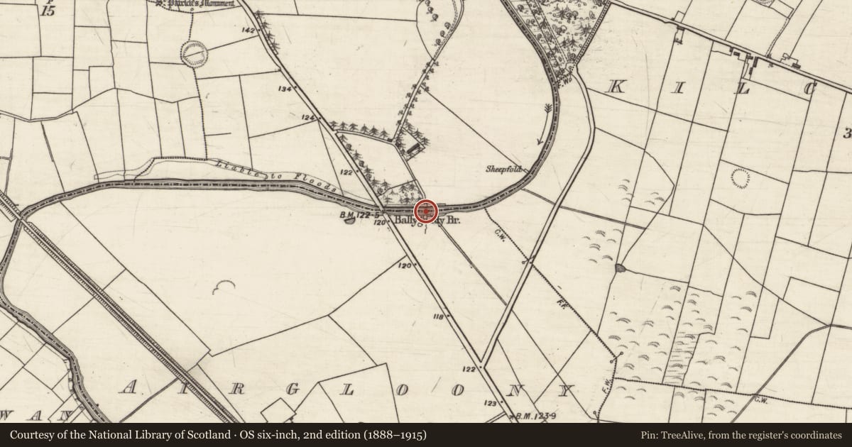 Ordnance Survey six-inch map, 2nd edition (1888–1915) covering the location of Bridge, Ballygaddy, Garracloon, County Galway, with a pin at the register's coordinates