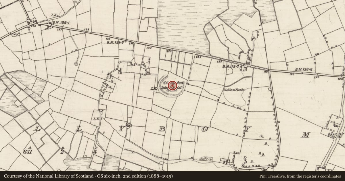 Ordnance Survey six-inch map, 2nd edition (1888–1915) covering the location of Ecclesiastical enclosure, Ballyboy, County Galway, with a pin at the register's coordinates