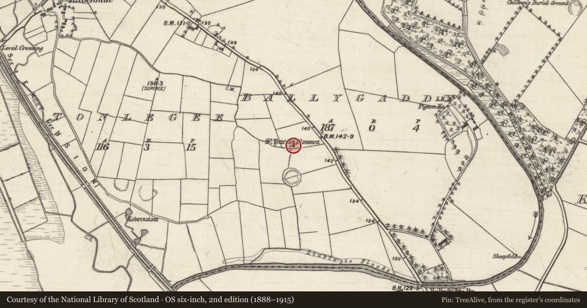 Ordnance Survey six-inch map, 2nd edition (1888–1915) covering the location of Penitential station, Ballygaddy, County Galway, with a pin at the register's coordinates