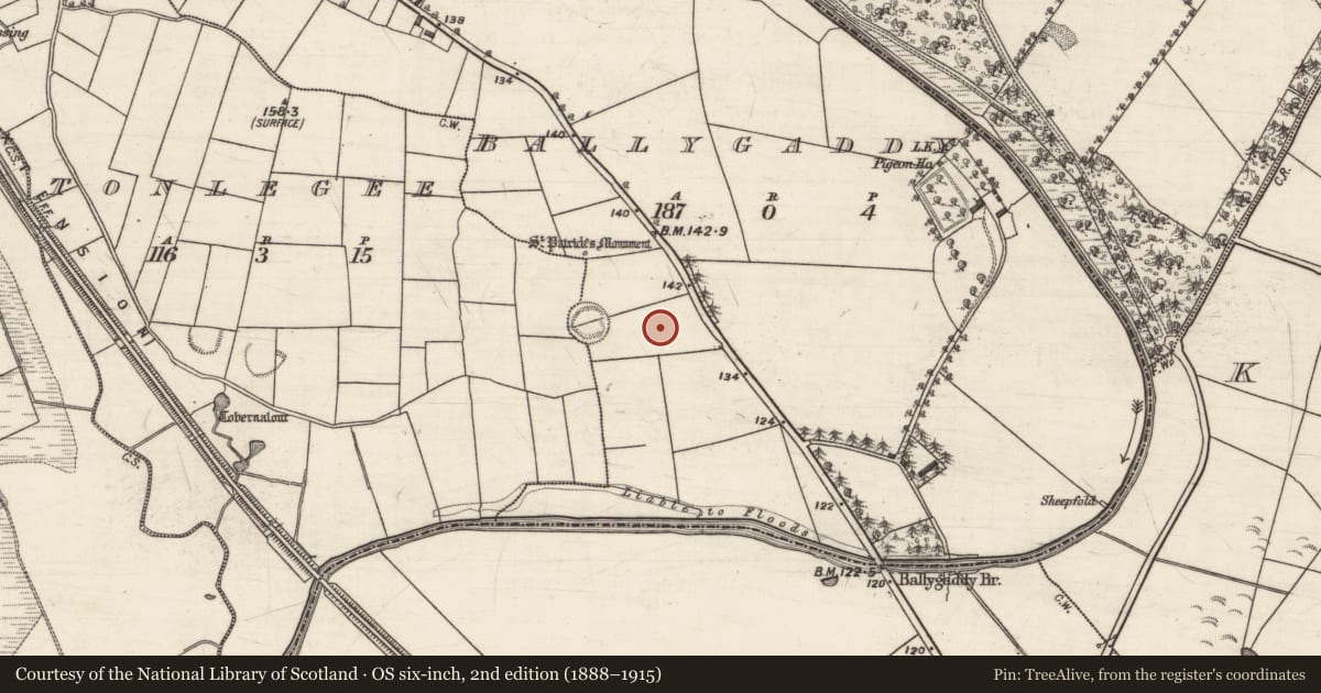 Ordnance Survey six-inch map, 2nd edition (1888–1915) covering the location of Children's burial ground, Ballygaddy, Tonlegee, County Galway, with a pin at the register's coordinates