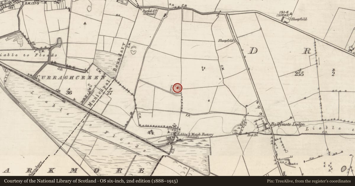 Ordnance Survey six-inch map, 2nd edition (1888–1915) covering the location of Ringfort - rath, Ballymoat, County Galway, with a pin at the register's coordinates