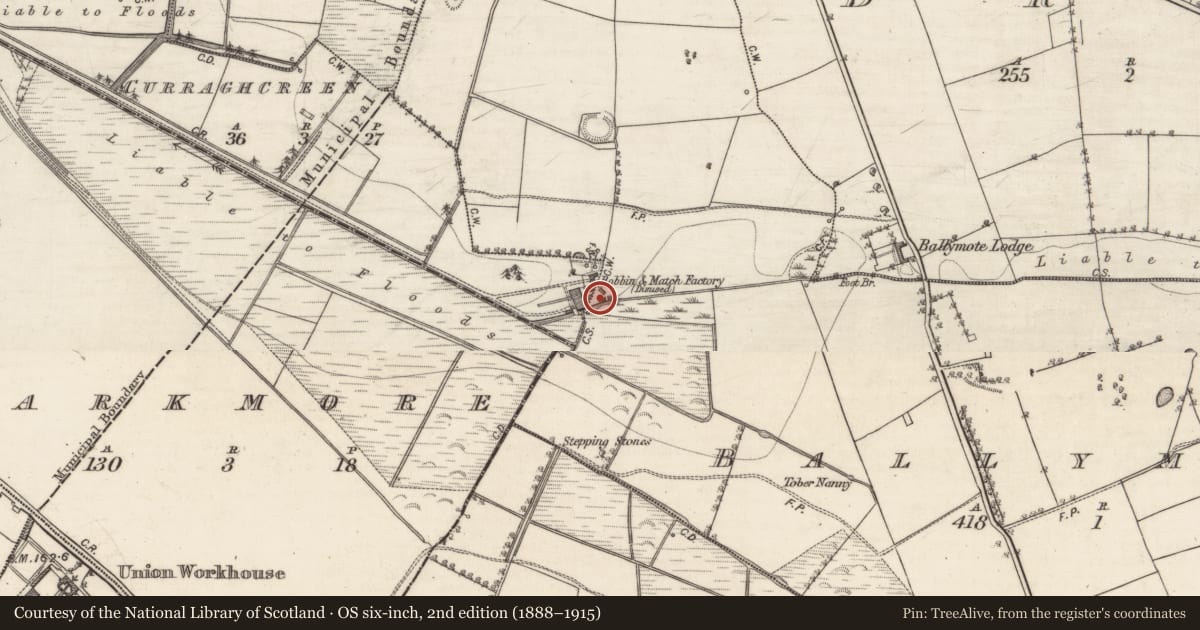Ordnance Survey six-inch map, 2nd edition (1888–1915) covering the location of Water mill - unclassified, Ballymoat, County Galway, with a pin at the register's coordinates