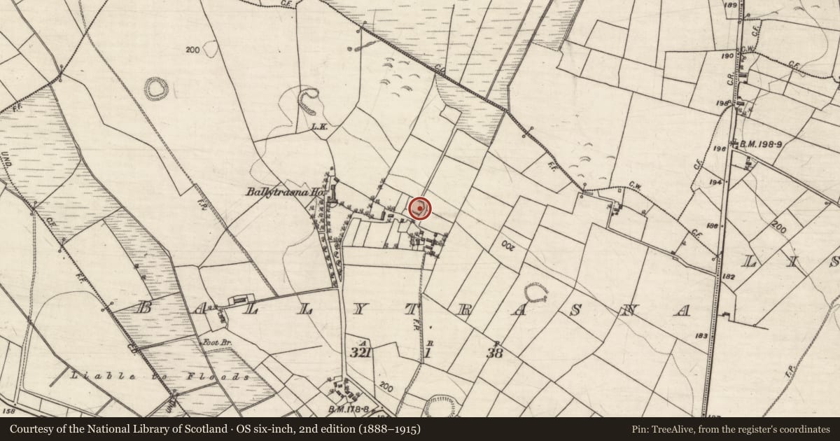 Ordnance Survey six-inch map, 2nd edition (1888–1915) covering the location of Ringfort - rath, Ballytrasna, County Galway, with a pin at the register's coordinates