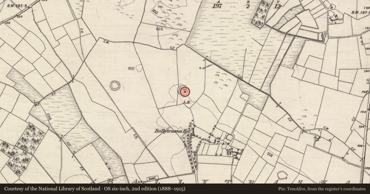 Ordnance Survey six-inch map, 2nd edition (1888–1915) covering the location of Ringfort - rath, Ballytrasna, County Galway, with a pin at the register's coordinates