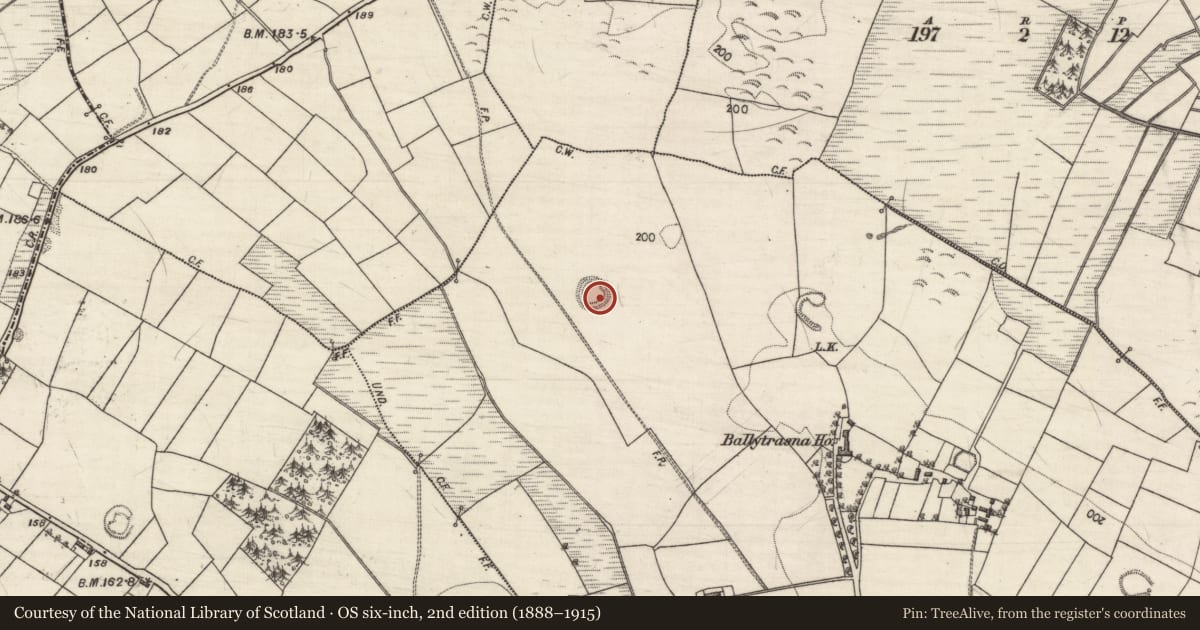 Ordnance Survey six-inch map, 2nd edition (1888–1915) covering the location of Ringfort - rath, Ballytrasna, County Galway, with a pin at the register's coordinates