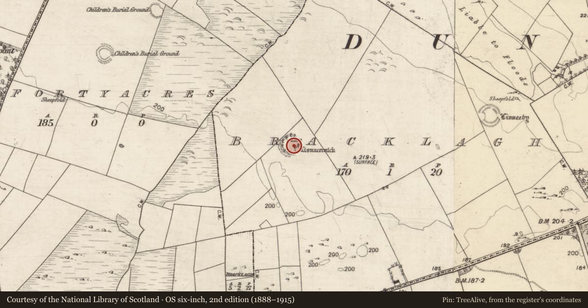 Ordnance Survey six-inch map, 2nd edition (1888–1915) covering the location of Ringfort - rath, Bracklagh, County Galway, with a pin at the register's coordinates