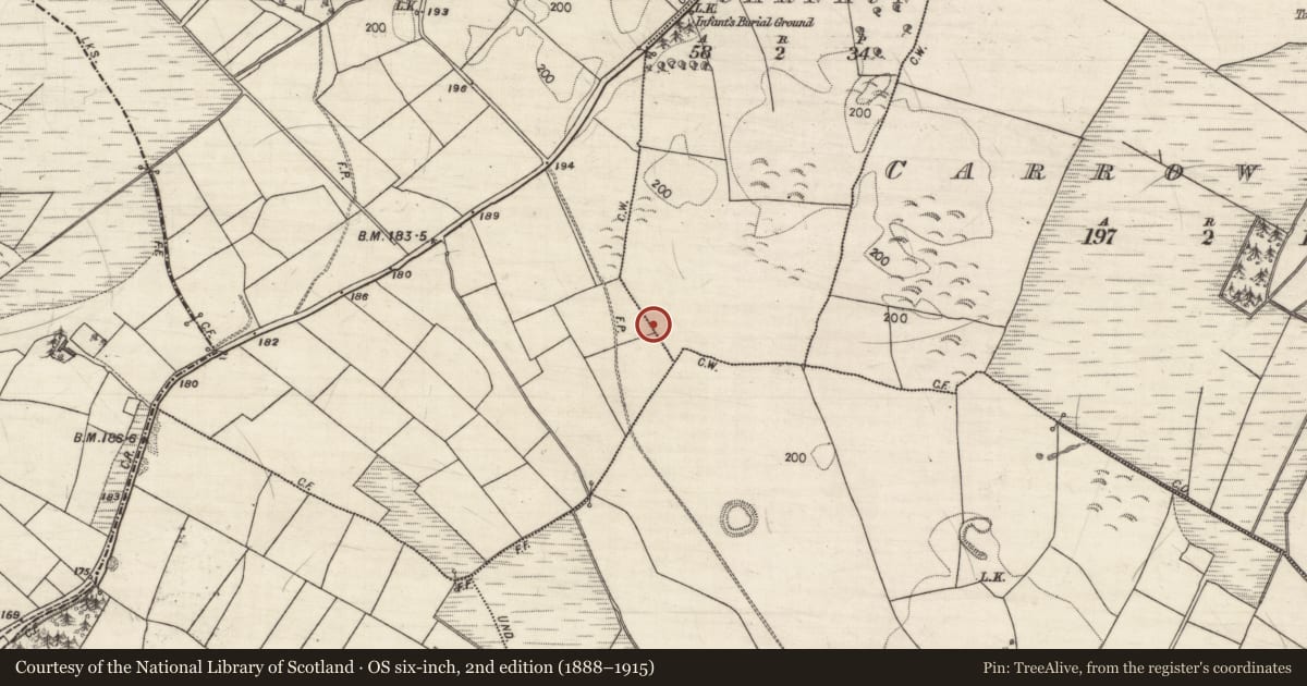 Ordnance Survey six-inch map, 2nd edition (1888–1915) covering the location of Ringfort - rath, Carnaun, Curraghaun, County Galway, with a pin at the register's coordinates