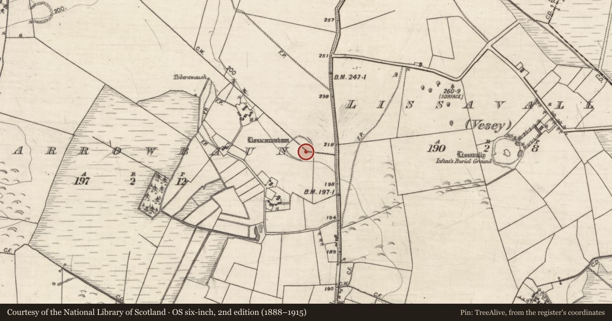 Ordnance Survey six-inch map, 2nd edition (1888–1915) covering the location of Ringfort - rath, Carrowbaun, Masmore, County Galway, with a pin at the register's coordinates