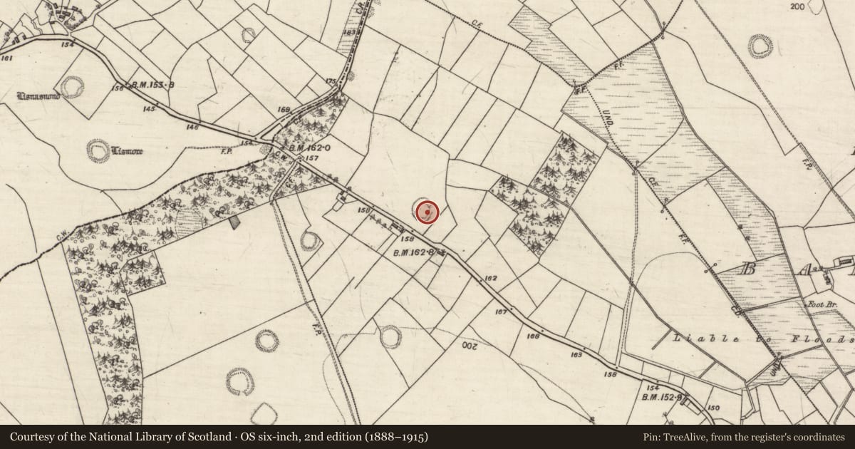 Ordnance Survey six-inch map, 2nd edition (1888–1915) covering the location of Ringfort - rath, Carrownagarry, County Galway, with a pin at the register's coordinates