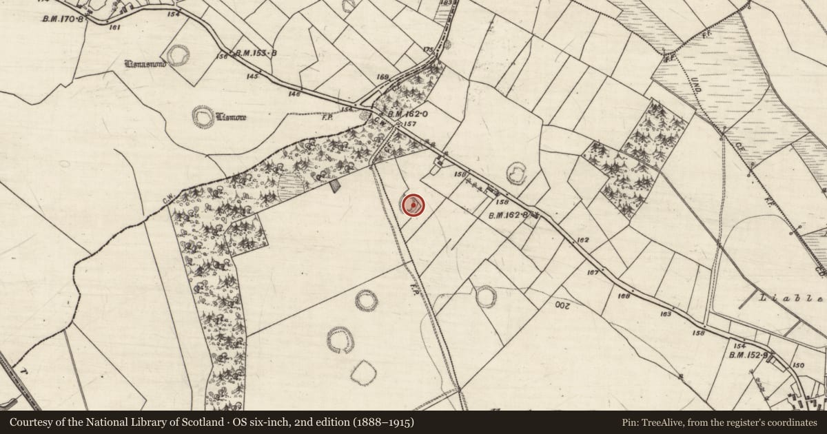 Ordnance Survey six-inch map, 2nd edition (1888–1915) covering the location of Ringfort - rath, Carrownagarry, County Galway, with a pin at the register's coordinates