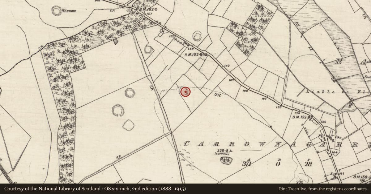 Ordnance Survey six-inch map, 2nd edition (1888–1915) covering the location of Ringfort - rath, Carrownagarry, County Galway, with a pin at the register's coordinates