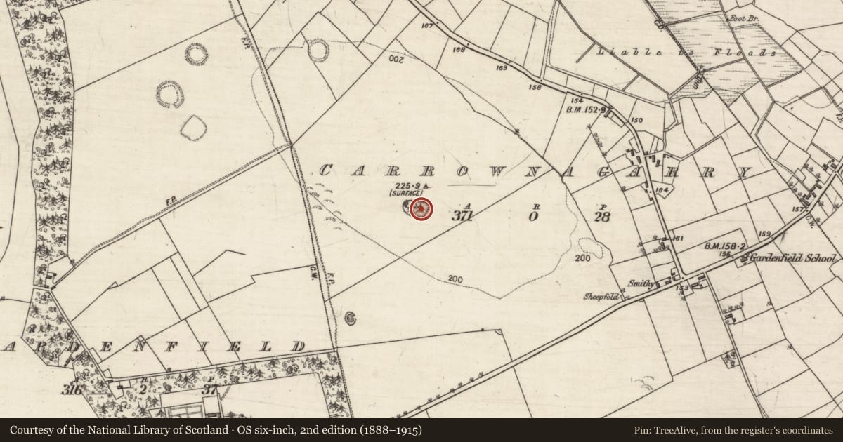 Ordnance Survey six-inch map, 2nd edition (1888–1915) covering the location of Enclosure, Carrownagarry, County Galway, with a pin at the register's coordinates