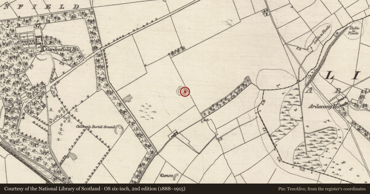 Ordnance Survey six-inch map, 2nd edition (1888–1915) covering the location of Ringfort - rath, Carrownagarry, County Galway, with a pin at the register's coordinates