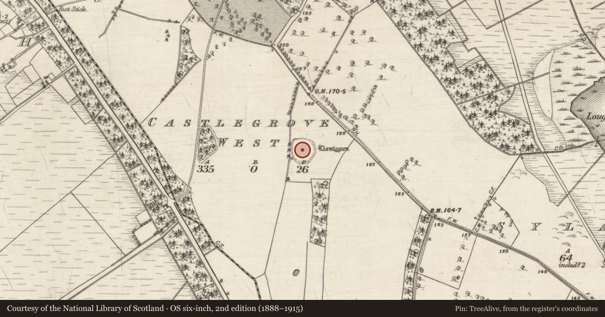 Ordnance Survey six-inch map, 2nd edition (1888–1915) covering the location of Children's burial ground, Castlegrove West, County Galway, with a pin at the register's coordinates