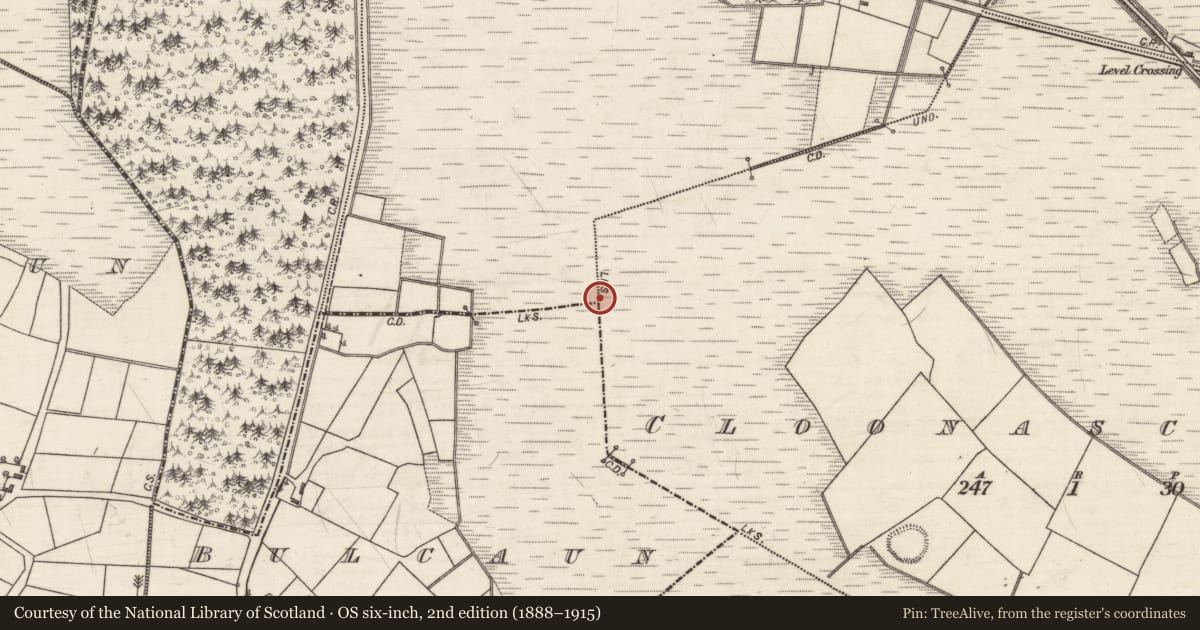 Ordnance Survey six-inch map, 2nd edition (1888–1915) covering the location of Boundary mound, County Galway, with a pin at the register's coordinates