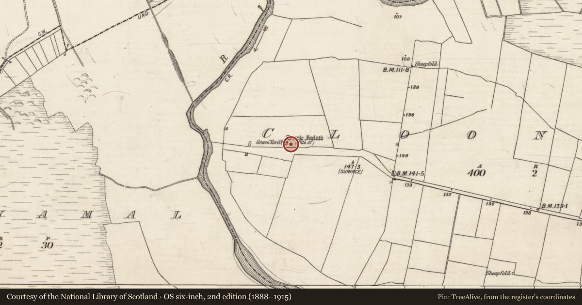 Ordnance Survey six-inch map, 2nd edition (1888–1915) covering the location of Children's burial ground, Cloonfush, County Galway, with a pin at the register's coordinates