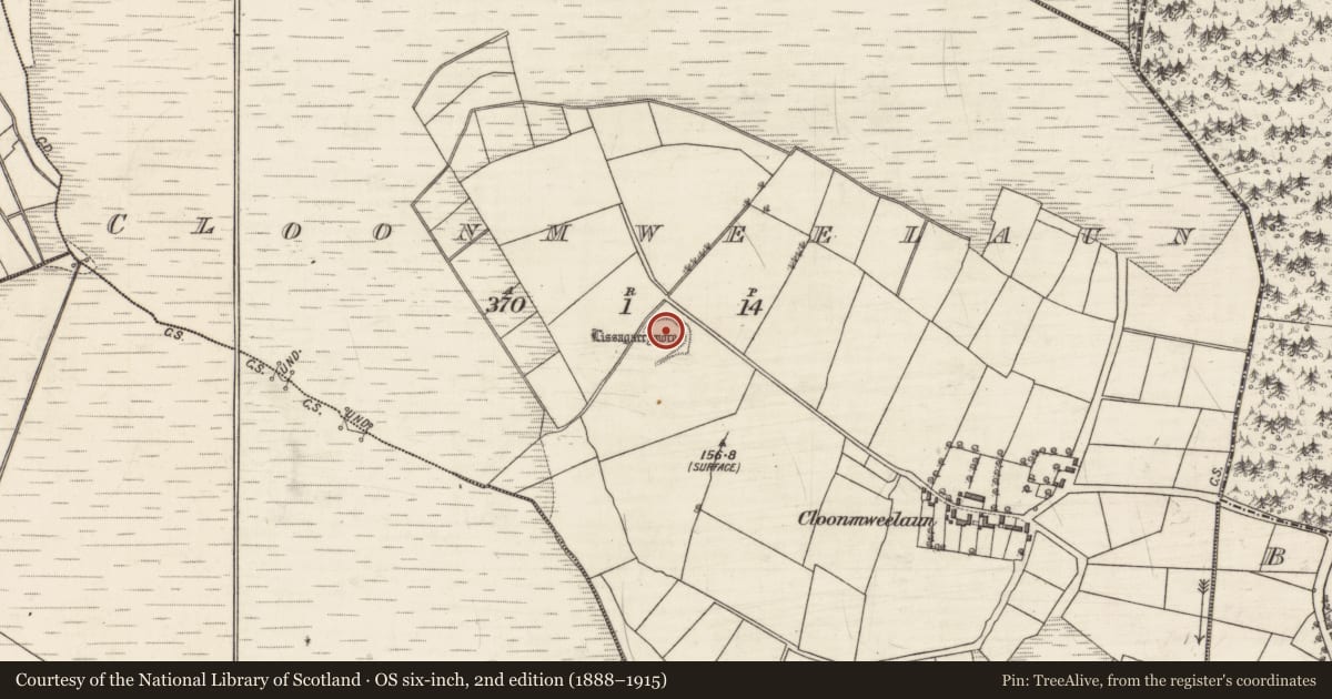 Ordnance Survey six-inch map, 2nd edition (1888–1915) covering the location of Children's burial ground, Cloonmweelaun, County Galway, with a pin at the register's coordinates