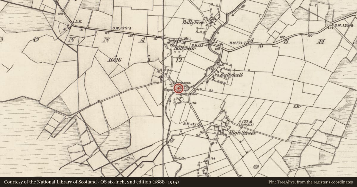Ordnance Survey six-inch map, 2nd edition (1888–1915) covering the location of Children's burial ground, Cloonnaglasha, County Galway, with a pin at the register's coordinates