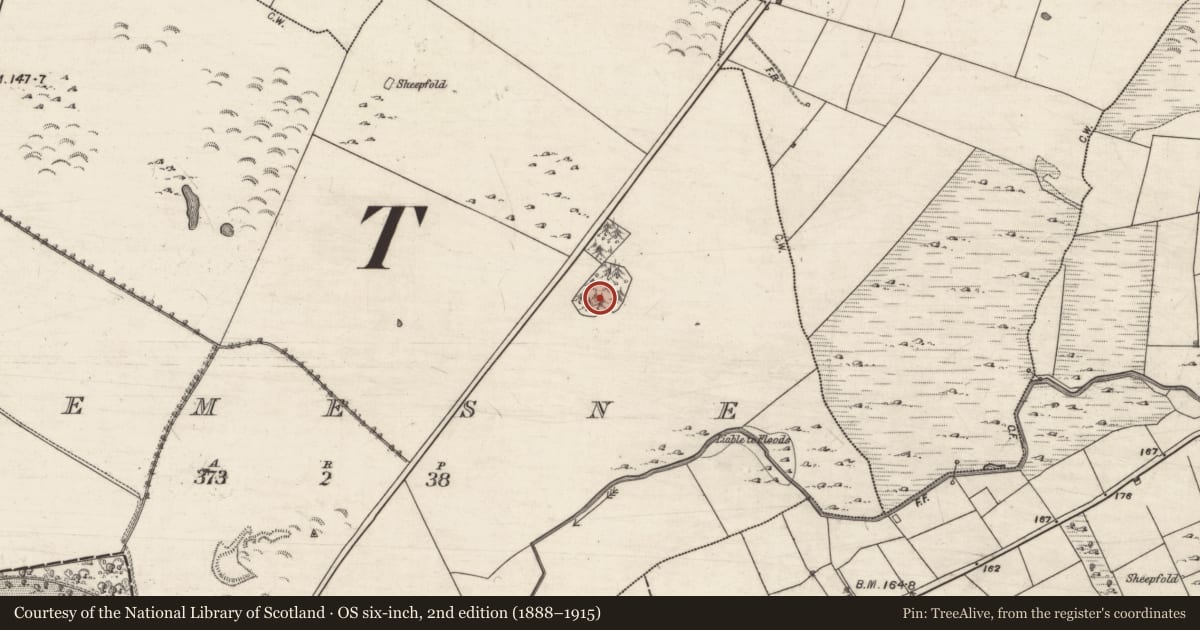 Ordnance Survey six-inch map, 2nd edition (1888–1915) covering the location of Ringfort - rath, Demesne, County Galway, with a pin at the register's coordinates