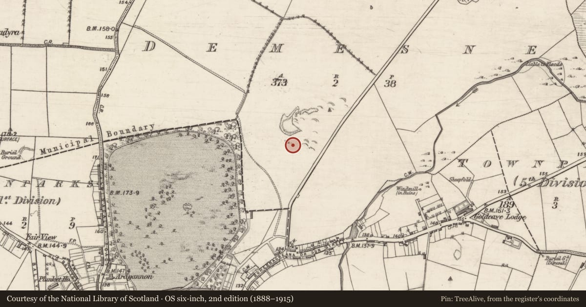 Ordnance Survey six-inch map, 2nd edition (1888–1915) covering the location of Kiln - lime, Demesne, County Galway, with a pin at the register's coordinates