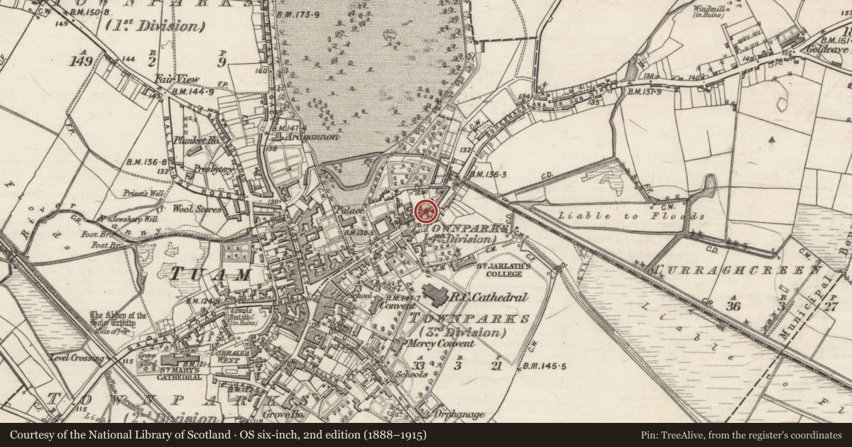Ordnance Survey six-inch map, 2nd edition (1888–1915) covering the location of Ecclesiastical enclosure, Demesne, Townparks (4th Division - Tuam), County Galway, with a pin at the register's coordinates