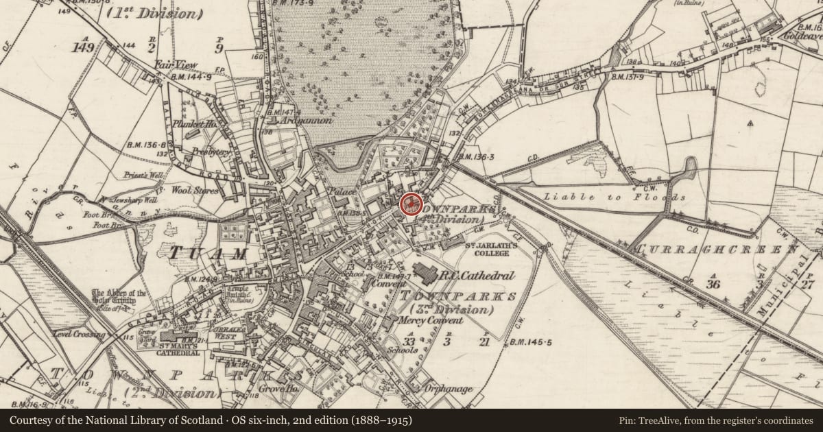 Ordnance Survey six-inch map, 2nd edition (1888–1915) covering the location of Church, Townparks (4th Division - Tuam), County Galway, with a pin at the register's coordinates