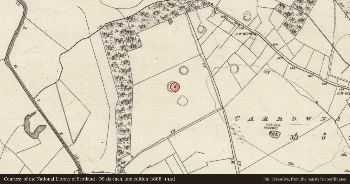 Ordnance Survey six-inch map, 2nd edition (1888–1915) covering the location of Ringfort - rath, Gardenfield, County Galway, with a pin at the register's coordinates