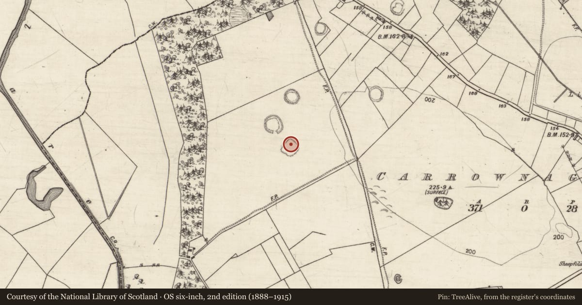 Ordnance Survey six-inch map, 2nd edition (1888–1915) covering the location of Ringfort - rath, Gardenfield, County Galway, with a pin at the register's coordinates