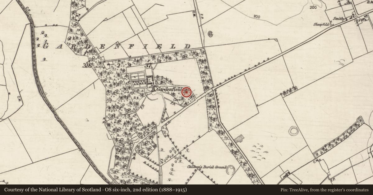 Ordnance Survey six-inch map, 2nd edition (1888–1915) covering the location of Ringfort - rath, Gardenfield, County Galway, with a pin at the register's coordinates