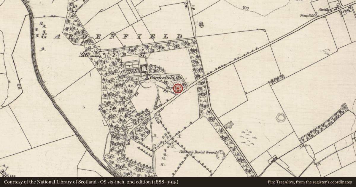 Ordnance Survey six-inch map, 2nd edition (1888–1915) covering the location of Ringfort - rath, Gardenfield, County Galway, with a pin at the register's coordinates